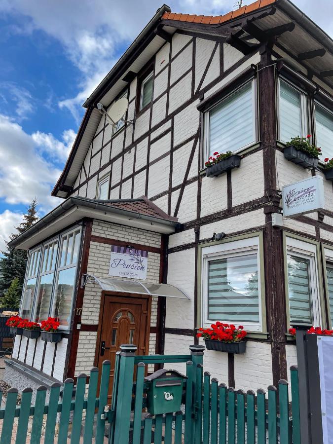 Pension Lavendel Harztor Exterior foto